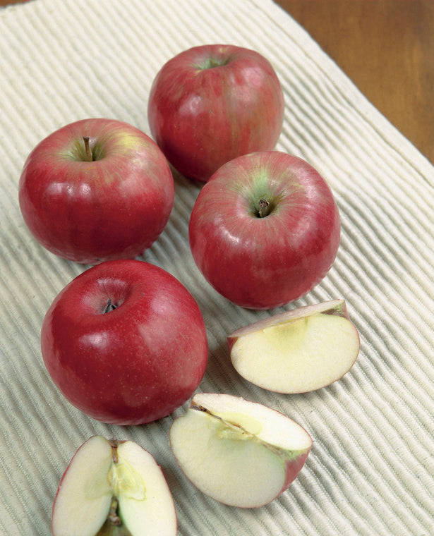 Apple (9 Varieties Available)