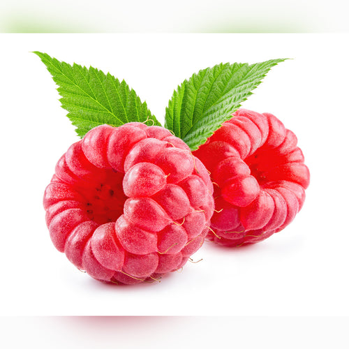 Raspberry (5 Varieties Available)