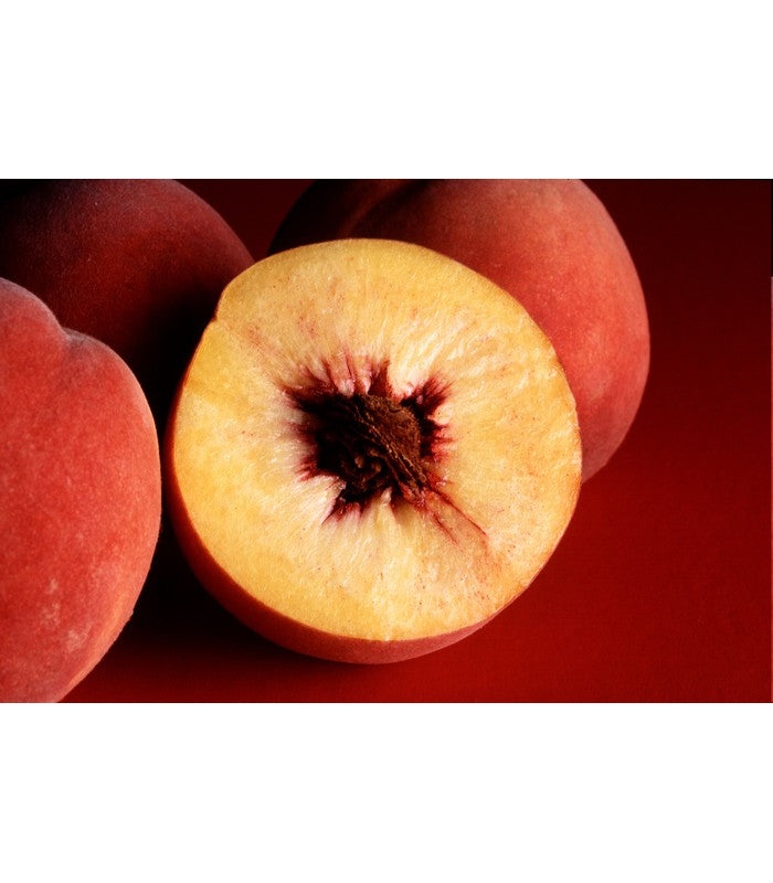 Peach (2 Varieties Available) - Buy Cold Climate Plants Online Tablelands Nurseries