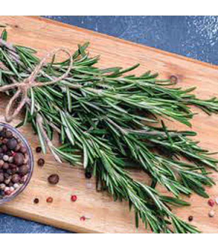 Rosemary (4 Varieties Available)